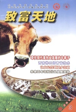 畜牧饲料技术开发 致富新路径