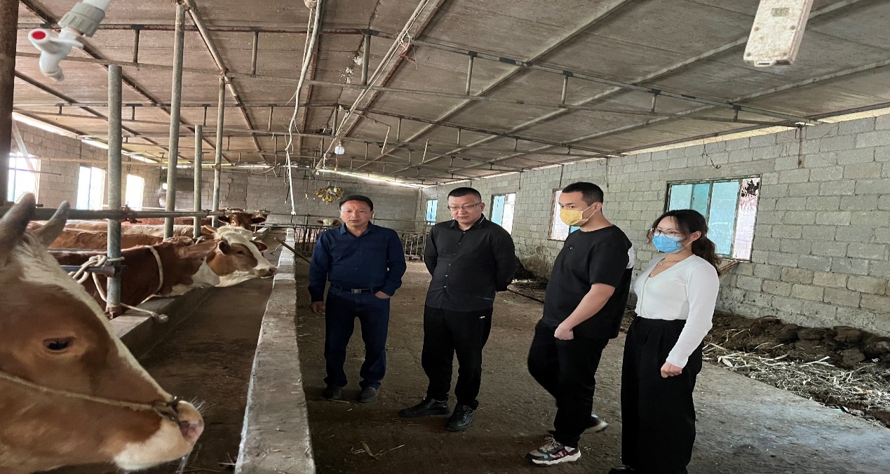 贵州省农科院畜牧饲料技术开发 引领绿色养殖新篇章